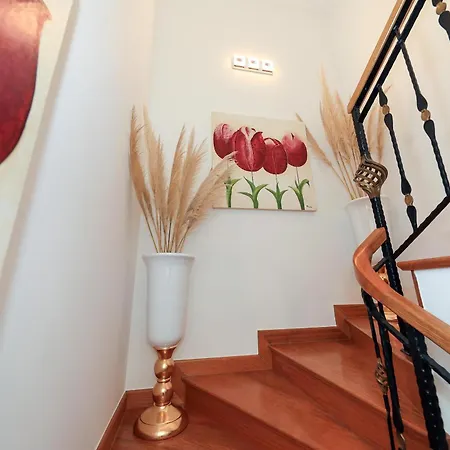 Moradia Chicharro בית הארחה *