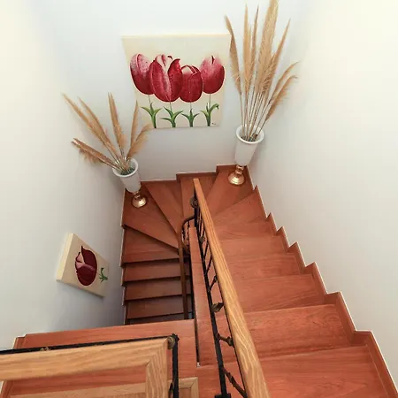 Moradia Chicharro בית הארחה נאזרה