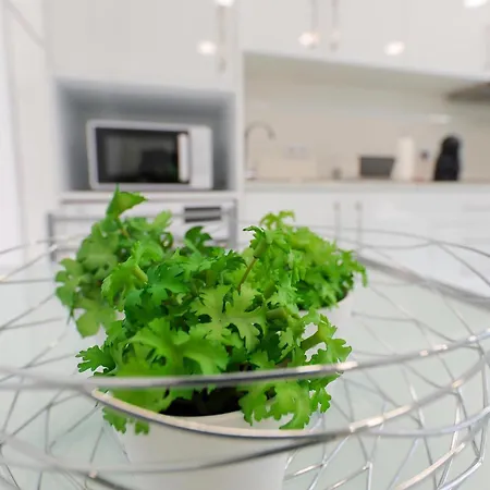 בית הארחה Moradia Chicharro *