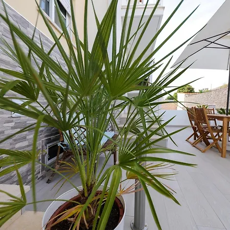 Moradia Chicharro בית הארחה *